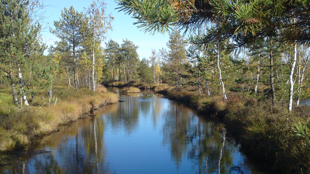 Вело- и пешие прогулки 
