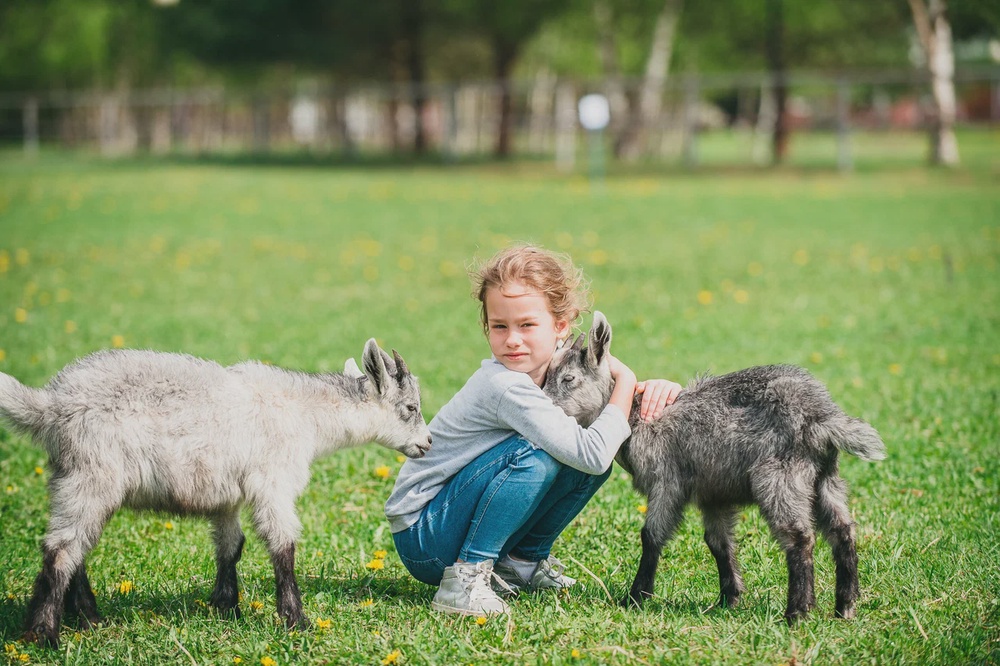 Экоферма, верховая езда и контактный зоопарк 