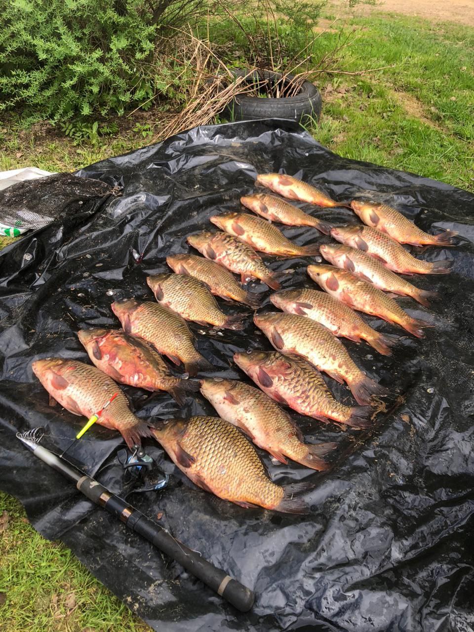 Рыбалка и тихая охота