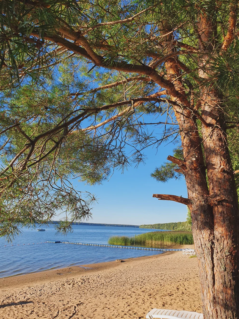 "Дикие" пляжи и природа 