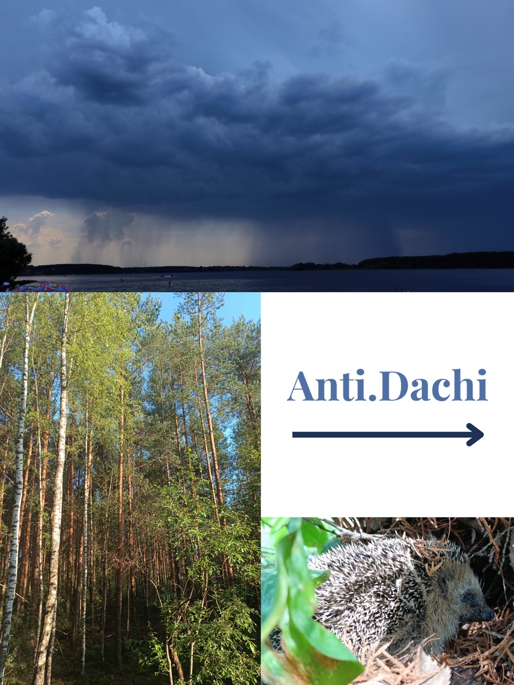 Вело- и пешие прогулки 