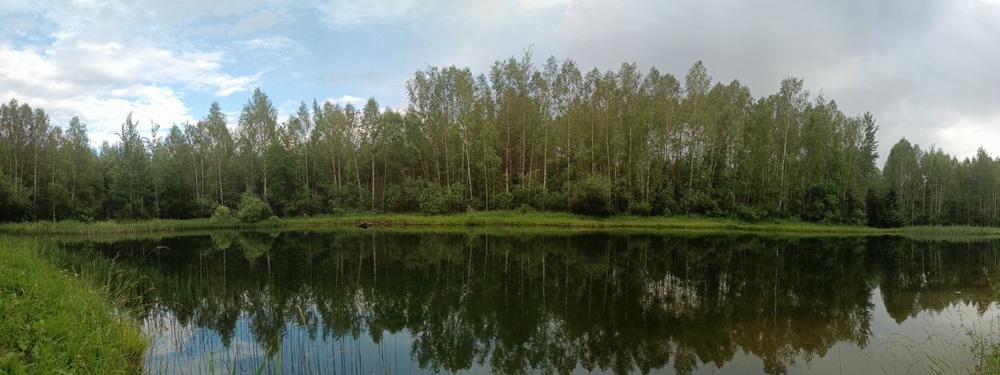 Вело- и пешие прогулки 