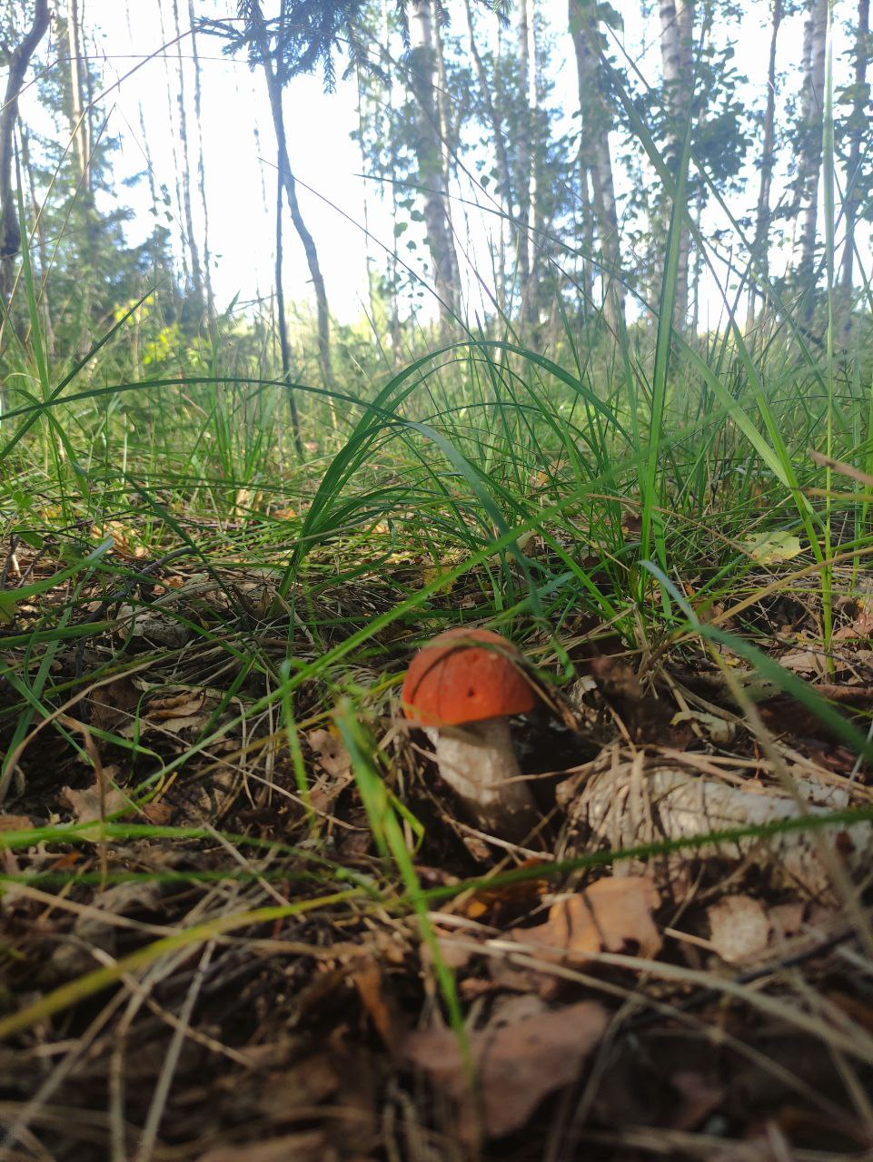 Рыбалка и тихая охота