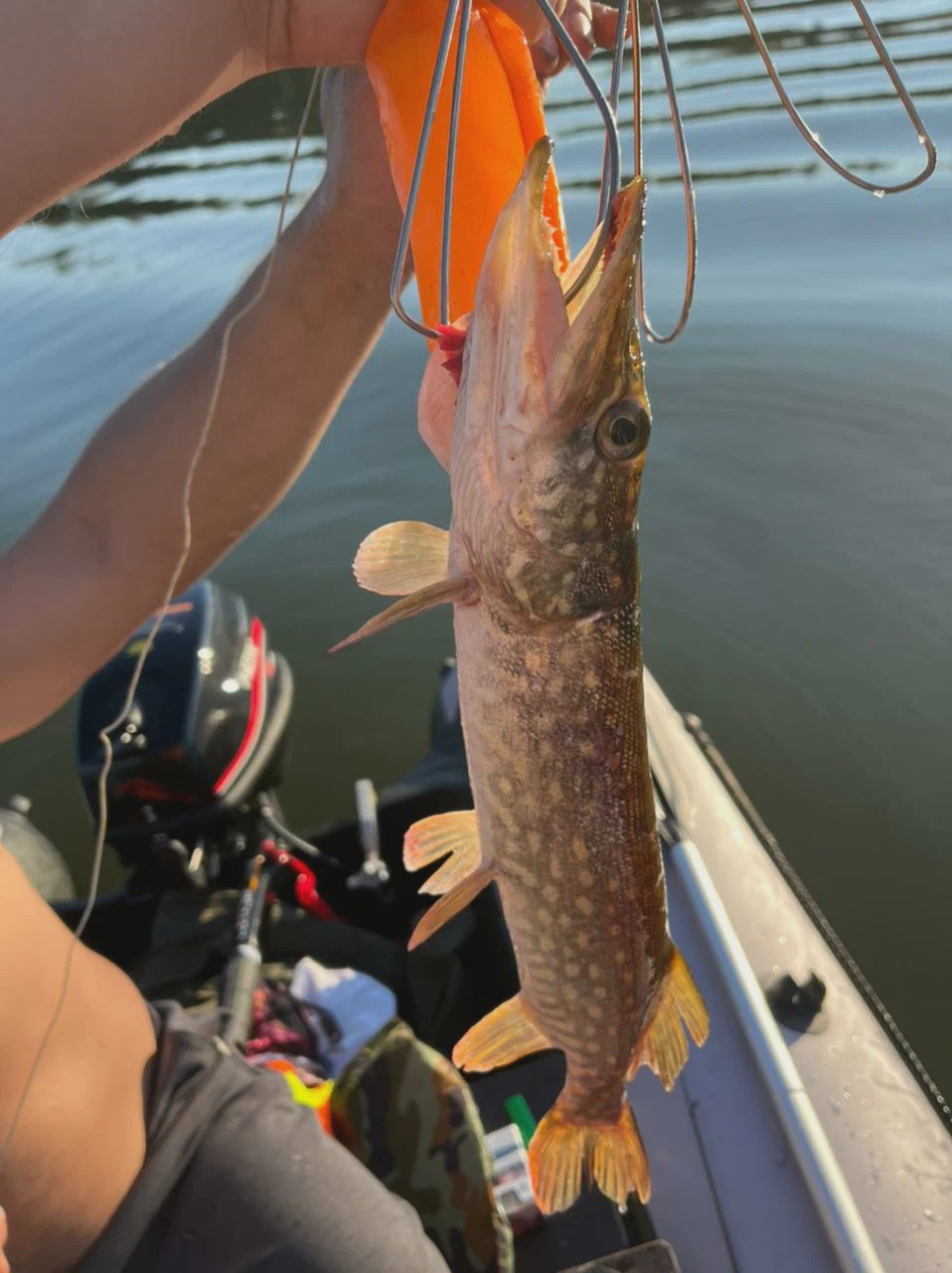 Рыбалка и тихая охота