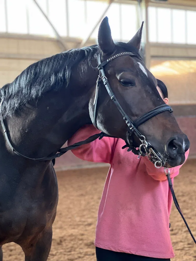 Экоферма, верховая езда и контактный зоопарк 