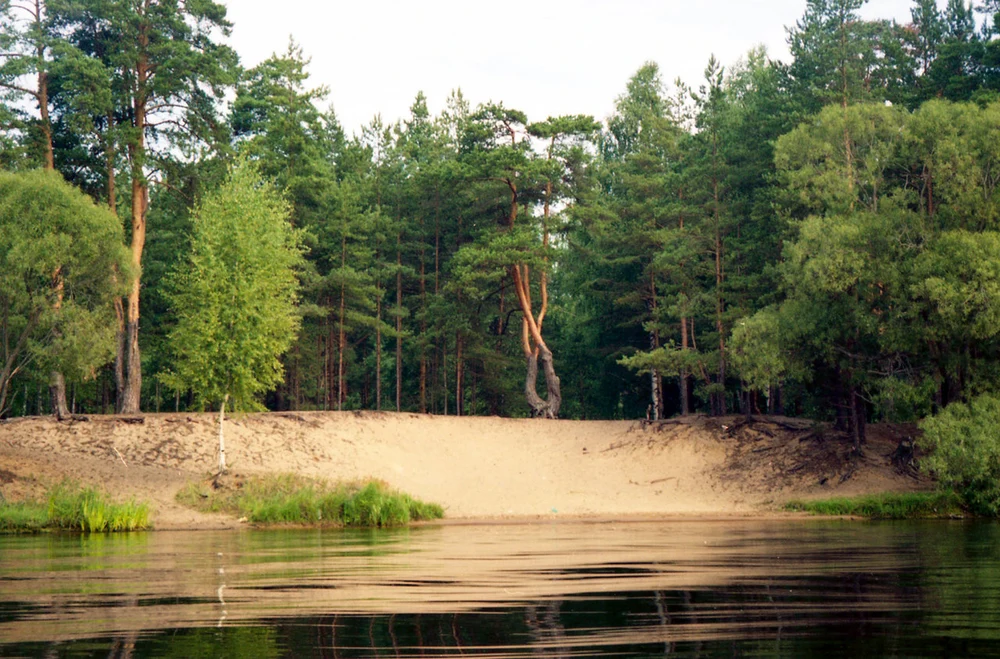 Вело- и пешие прогулки 