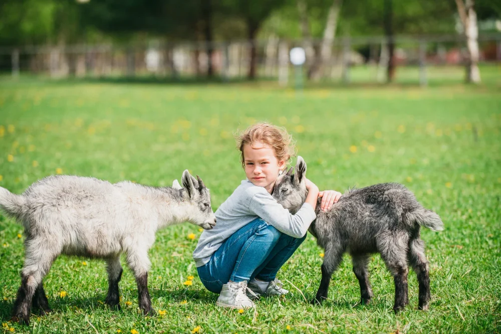 Экоферма, верховая езда и контактный зоопарк 