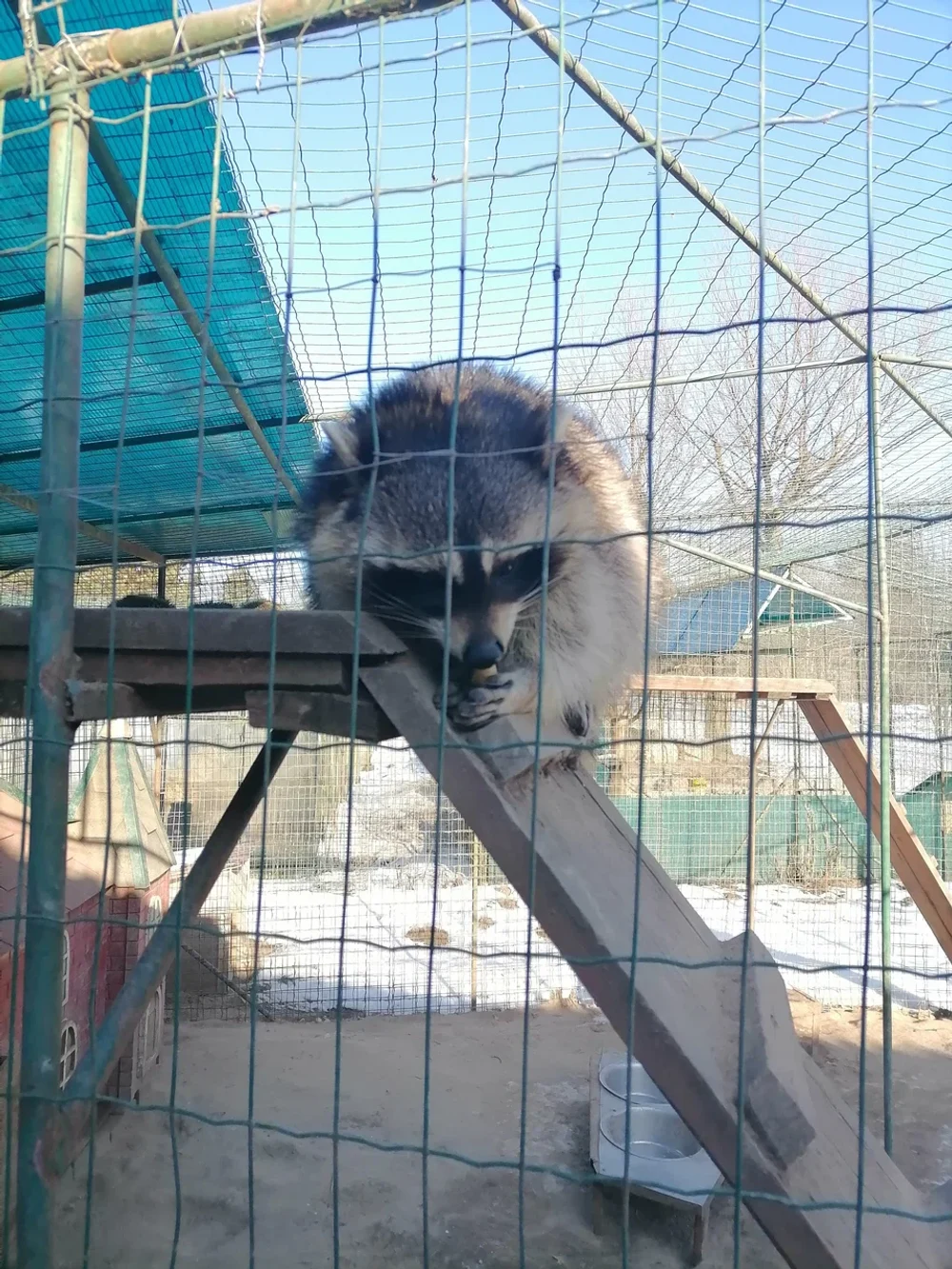 Экоферма, верховая езда и контактный зоопарк