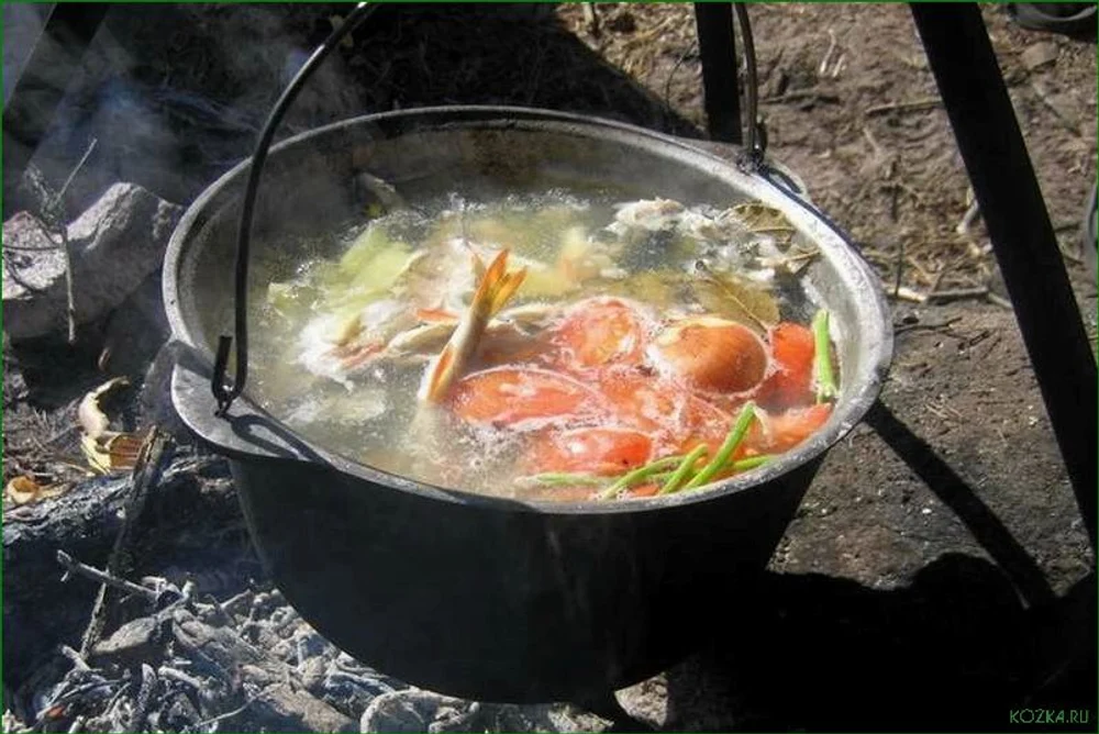 Блюда на свежем воздухе