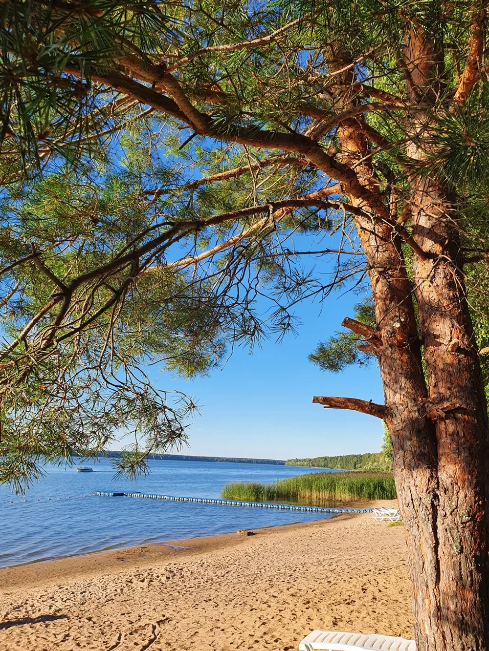 "Дикие" пляжи и природа 