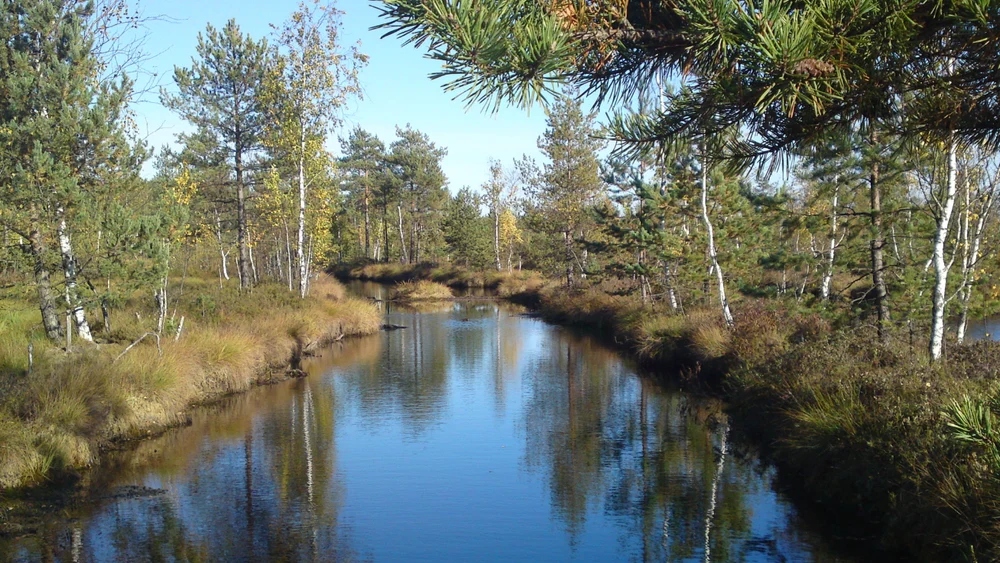 Вело- и пешие прогулки 
