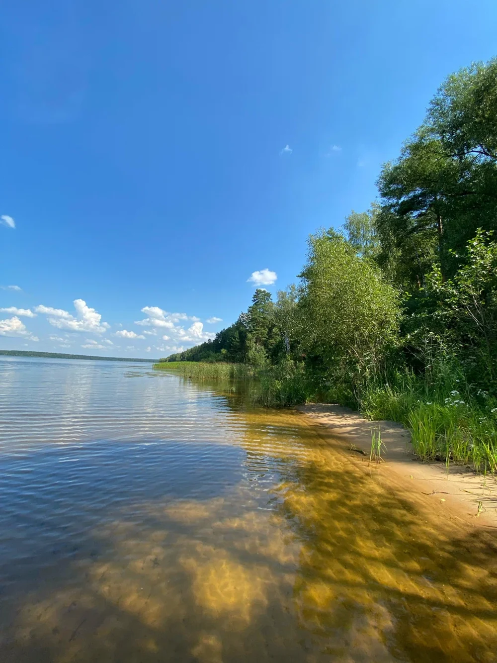 "Дикие" пляжи и природа 