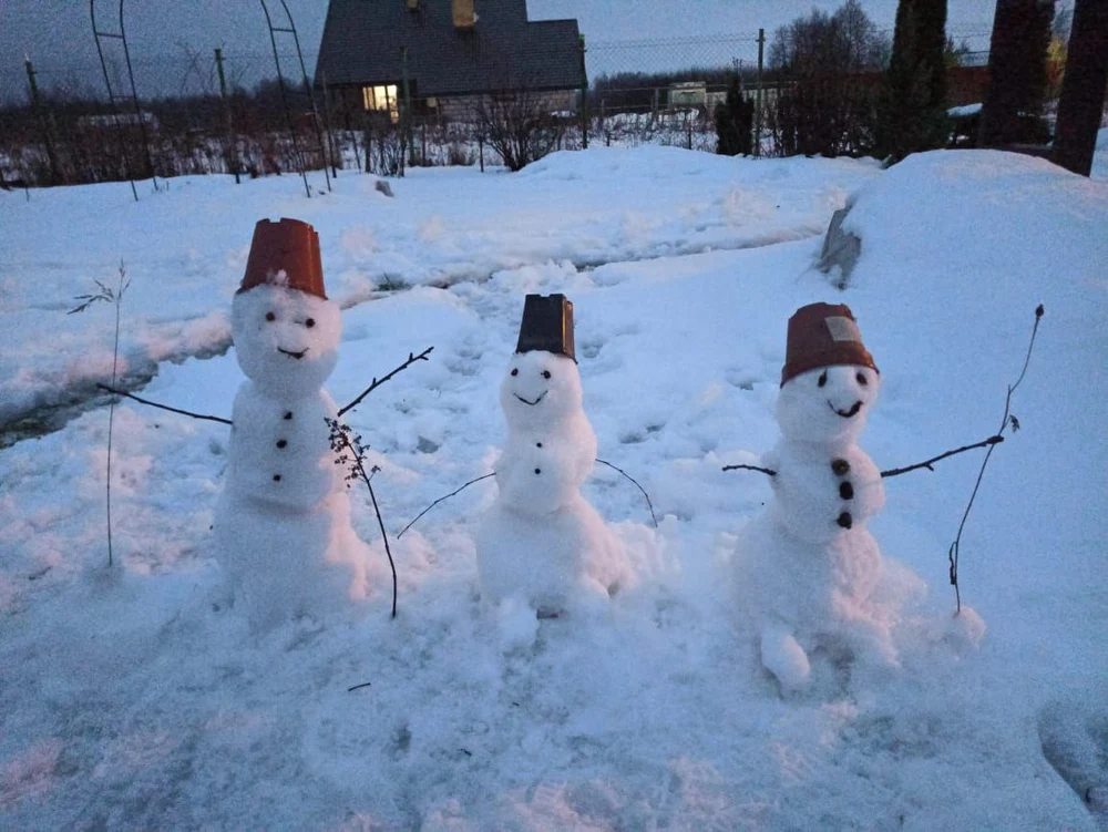 Новый год на Анти-даче!