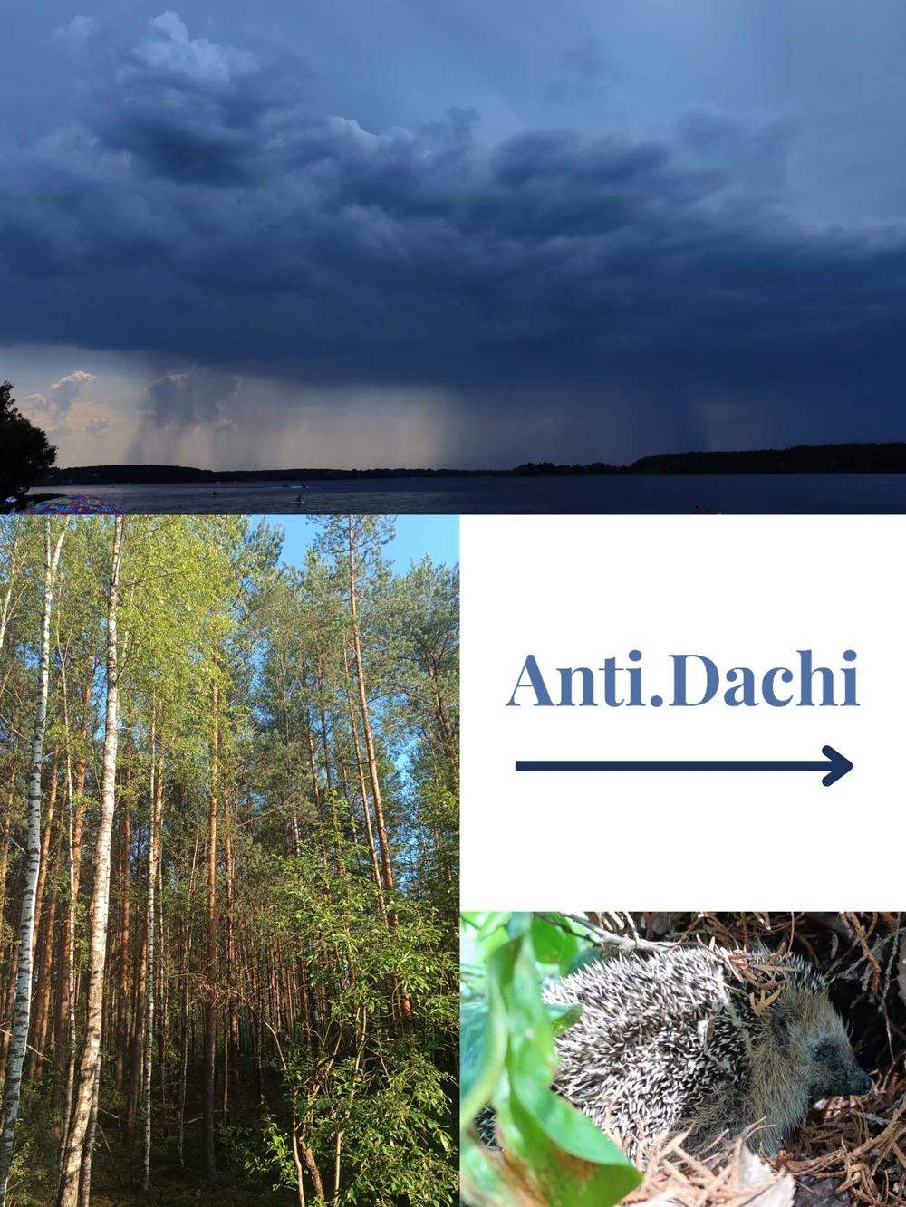 Вело- и пешие прогулки 