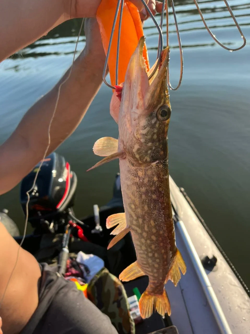 Рыбалка и тихая охота